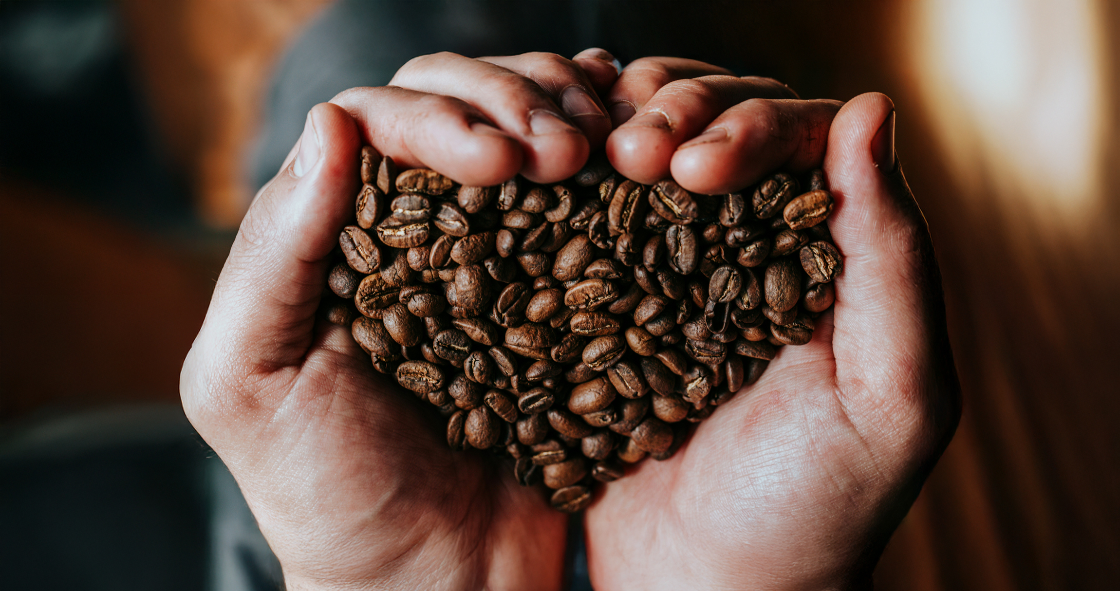 Hands holding roasted coffee beans in heart shape